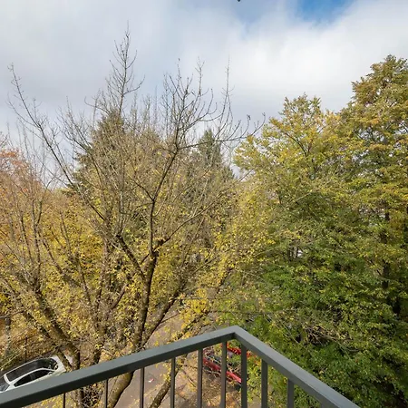 Mokotów Bełska Homely *